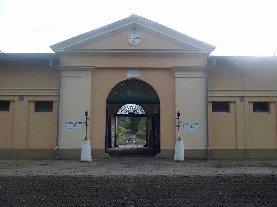 Stado Ogierów Sieraków Sierakow (Greater Poland) Exterior foto